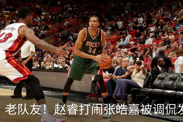 老队友！赵睿"打闹"张皓嘉被调侃发型 布朗陈盈骏崔永熙焦泊乔合照留念